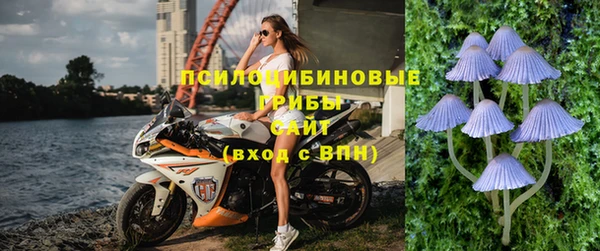 соль курить ск Арсеньев